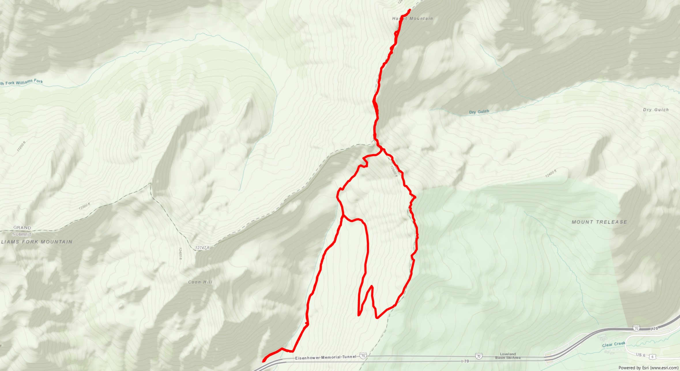 Esri World Topographic